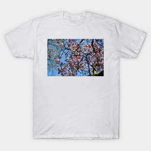 Blossoms and Pring T-Shirt